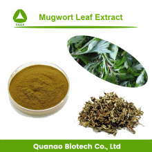 Hot Sell Mugwort Leaf Extract Aiye Leaf Powder