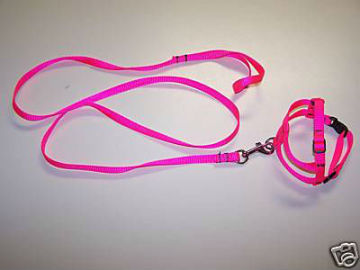 Harness and 3/8's x 4ft. leash for small dogs and Cats