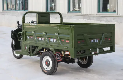 low speed electric car solar powered electric car