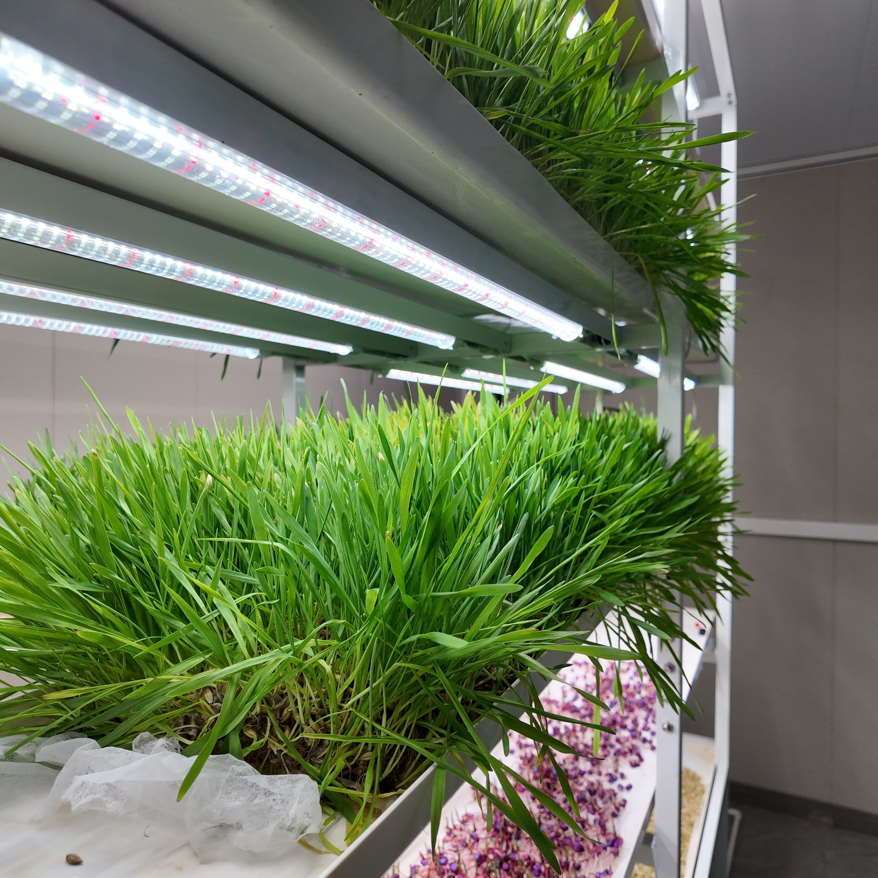 DJI_20250714161242_0053_D