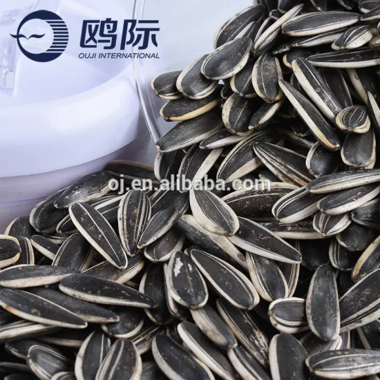 601 cheap price black raw sunflower seed
