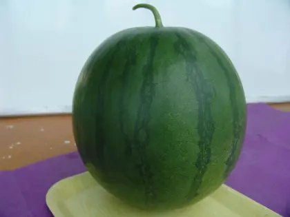 F1 seedless watermelon seeds