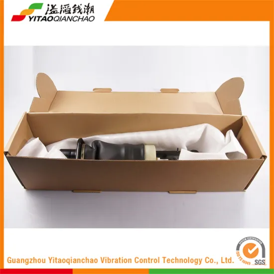 World Best Selling Products Cheapest Rear Absorber