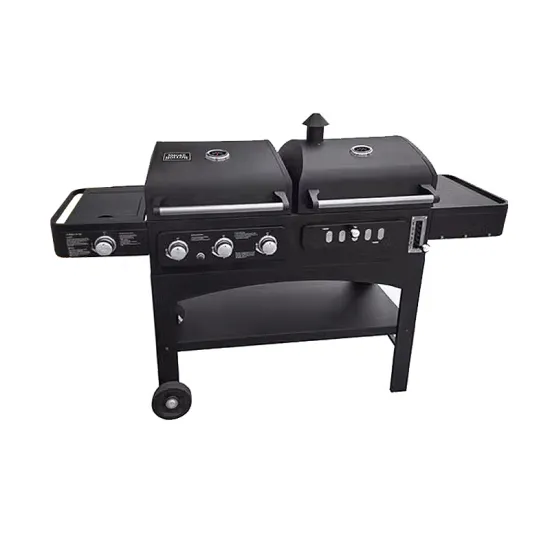 Dual Fuel Charcoal and Gas Grill for Cooking