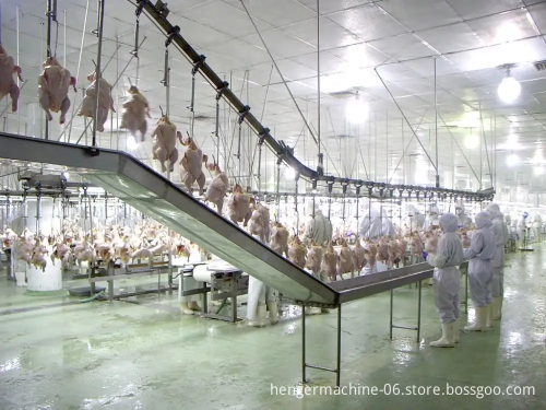 Chicken Slaughterhouse Slaughtering Line