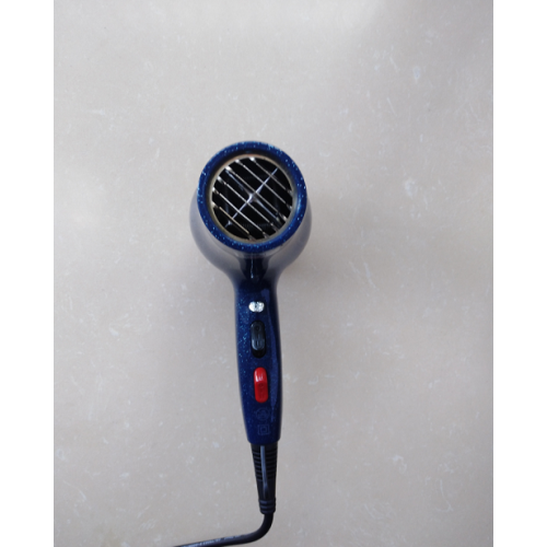 DC Power Excellence Long Lifespan Salon Silent Hairdryer