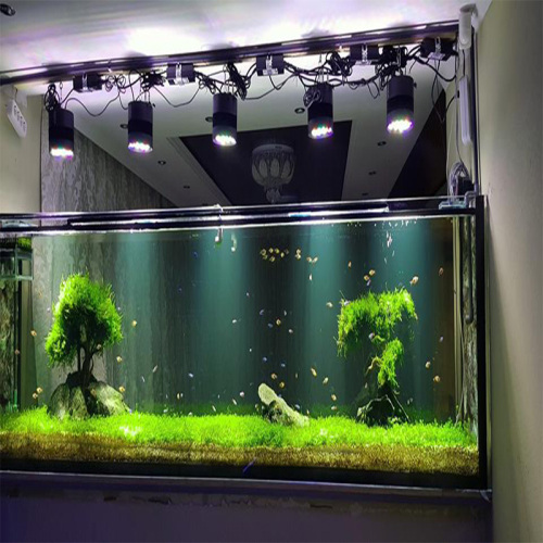 Aquarium LED Temping WiFi Telecomando remoto CCC