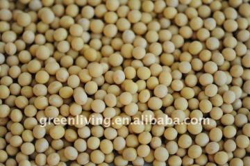 dried soybeans