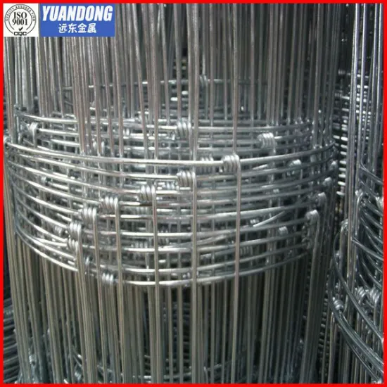 Grassland fence /Grassland netting/Grassland wire mesh