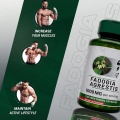 OEM/ODM Long Endurance Man Fadogia Agrestis Capsules