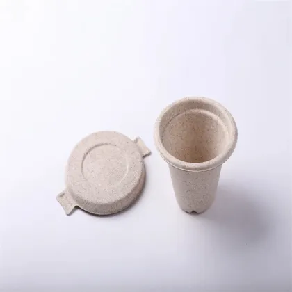 Disposable biodegradable eco friendly bagasse cup with lid