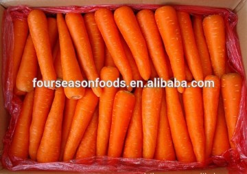 New crop Frozen /Iqf baby carrot , young carrot