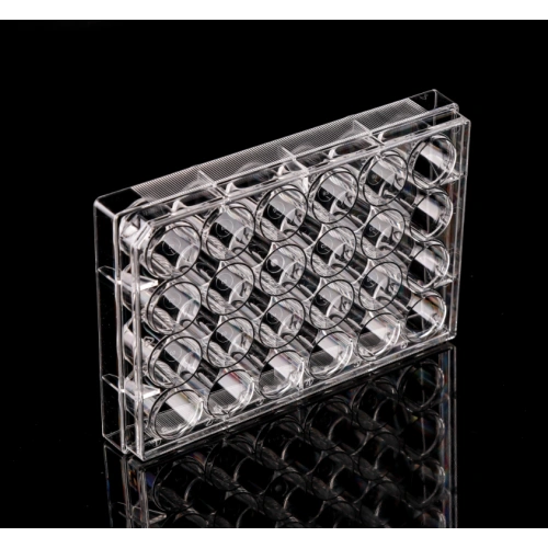 24-Well Tissue Culture Plates - Sterile Flat Bottom Treated Plates (50/Case)