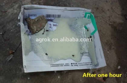 AGITA 10WG 100g Jar package Fly Control Fly Bait Thiamethoxam add z-tricosene