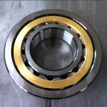 Lubricated Cylindrical Roller Bearing for Industrial Use