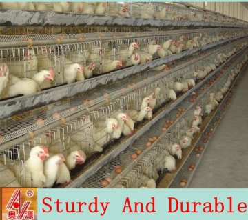 Chicken Use and galvanied Material chicken cage for sale