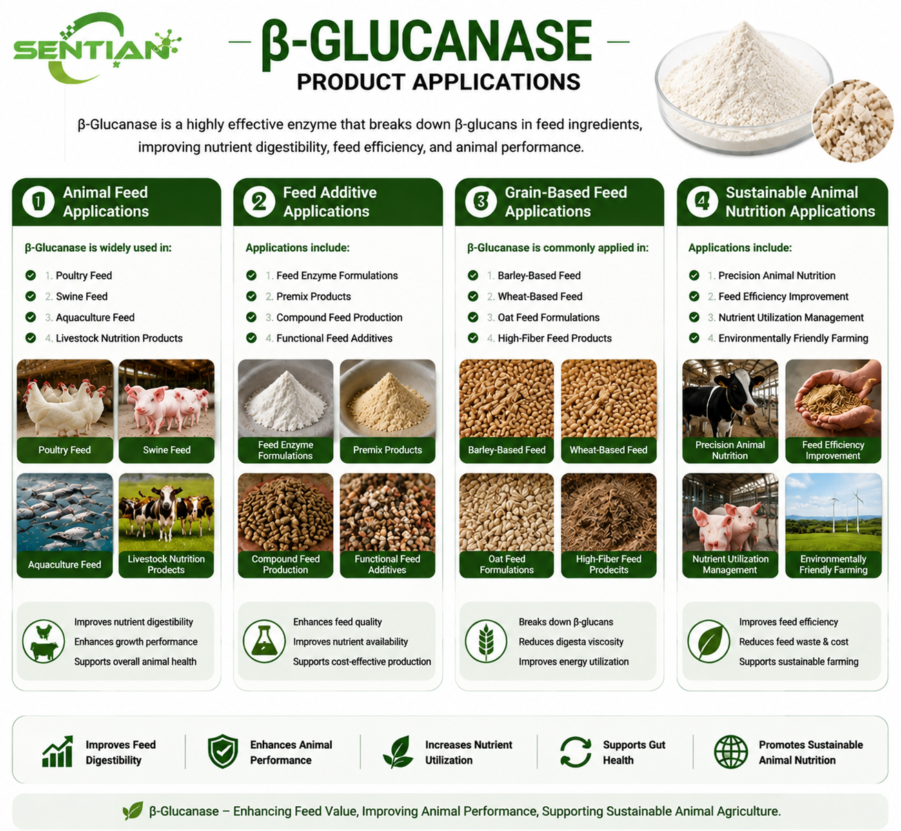 β-Glucanase（2）