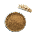Vente chaude Adenophorae Extract Powder