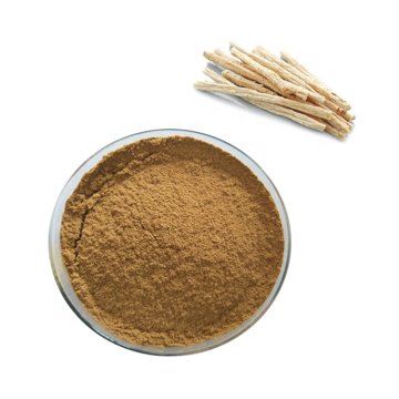 Hot sale Adenophorae Extract Powder