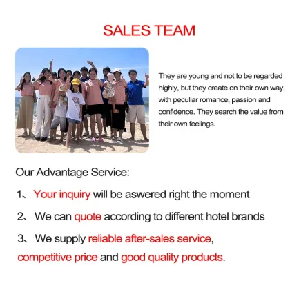 Modern Comfort Inn Bronze Wall Lamp with Reading Light and Switch