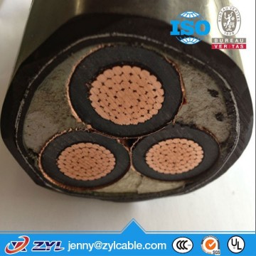 Power Cable for Nuclear Power Station/Multicore Armored Cable/Steel Tape Armoured Electric Cable