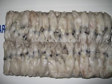 BQF North China baby squid