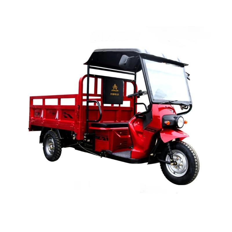 Logistics Heavy Duty Electric Trike