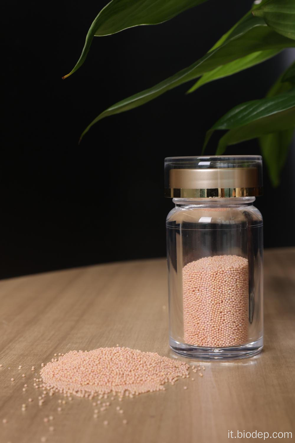 Probiotici di grado alimentare Lactobacillus Gasseri 100b CFU/G