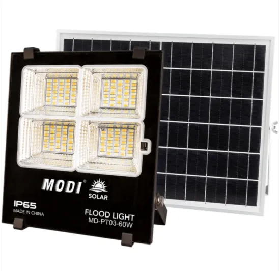 Induction solar outdoor light for tourist attractions