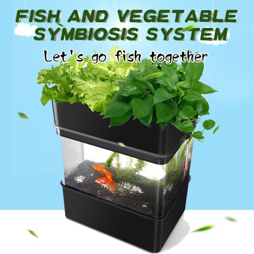 akrilik ikan tangki akuarium hydroponics