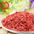 Chứng nhận sức khoẻ hữu cơ Goji Berry Trái cây khô hữu cơ