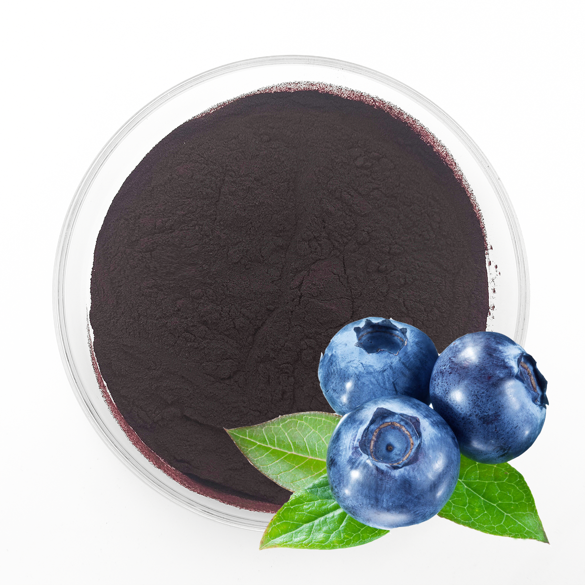 Blueberry Extract 1%-40% Anthocyanins