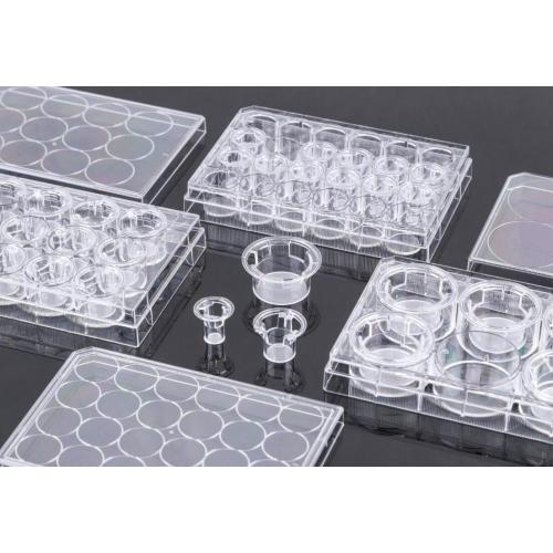 Pet Memberane Cell Culture Inserts สำหรับแผ่น 6 หลุม