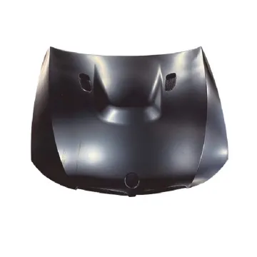 09-12 BMW 3 Series E90 Modified Carbon Fiber Engine Hood