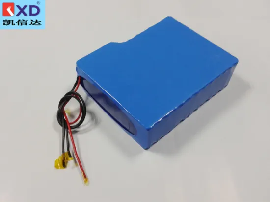 LiFePO4 Battery 24V 40ah
