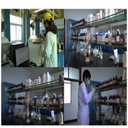 Pure natural dried ivy leaf extract ivy leaf