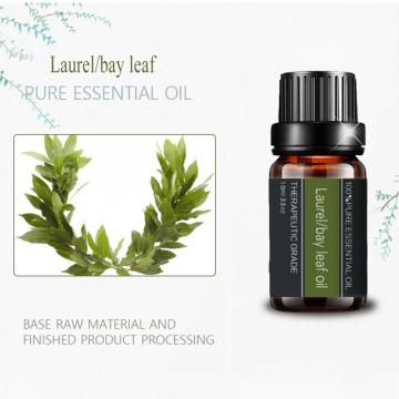 Pure Laurel/Bay Leaf Oil para masaje de cosméticos