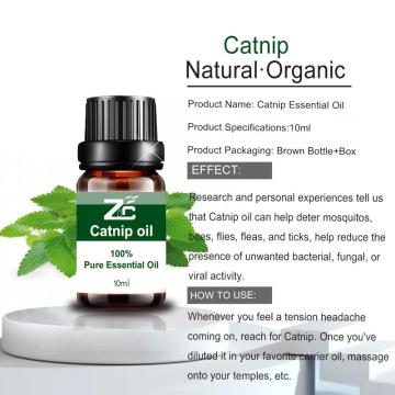 Therapeutic Grade 100% Pure Catnip Essential Oil