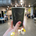 Copos de papel de 10 onças com isolamento térmico para embalagens de café