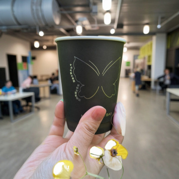 Copos de papel de 10 onças com isolamento térmico para embalagens de café