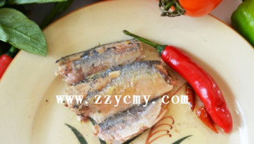 Canned Mackerel in brine, tomato sauce, oil(canned fish)