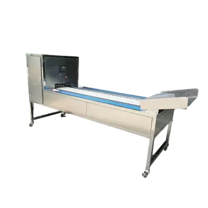 Commercial Vegetable Cleaning Machine