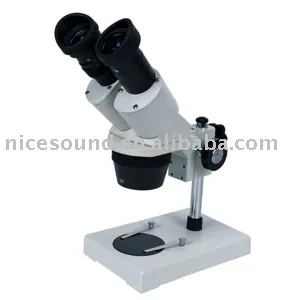Binocular Microscope