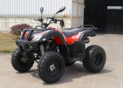Red Eec Racing 200cc Atv On Mountain Road , One Seat Street Quad Bike