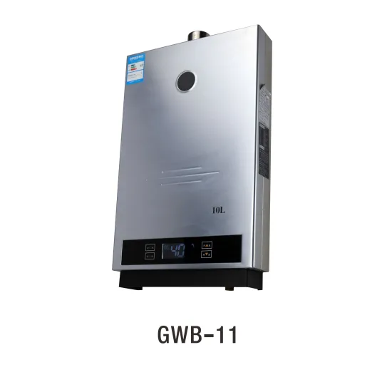 DSZ-A10 2014 Best Selling Flue Type Outdoor Wall Mounted Instant Gas Water Heater with Temperature Display