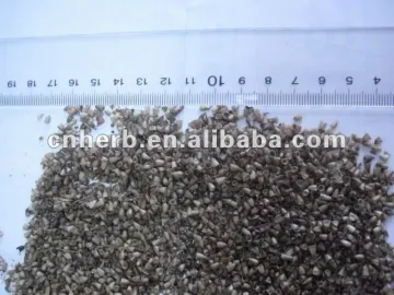 psyllium seed husk