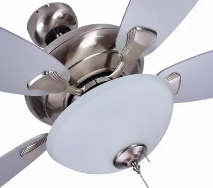 Traditional ceiling fans with 2 lights