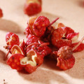 Pricklyash Peel Sichuan Pepper Extract Extract Extract Powder