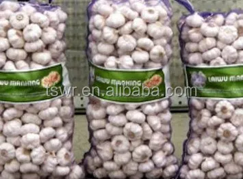 shandong garlic white garlic  fresh garlic