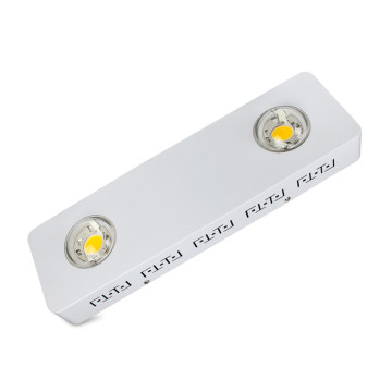 COB führte CXB3590 CXB 3590 3500K CB Behälter 80 CRI 36V verfügbar volle Spektrum LED wachsen Lichter Großhandelspreis Item101